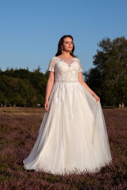 30041W-D9 Tulle+Chiffon – Bild 3