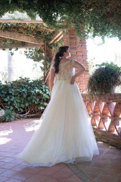 30065W-D11-BE-M Chiffon+Tulle – Bild 2