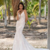 10107-D14-DL Shiny Tulle + Tulle - Image 3