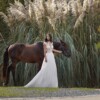 25019 - Amelie - Tulle+Chiffon – Bild 3