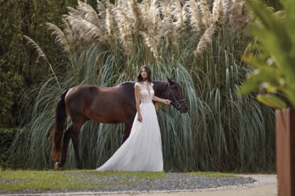 25019 - Amelie - Tulle+Chiffon – Bild 3